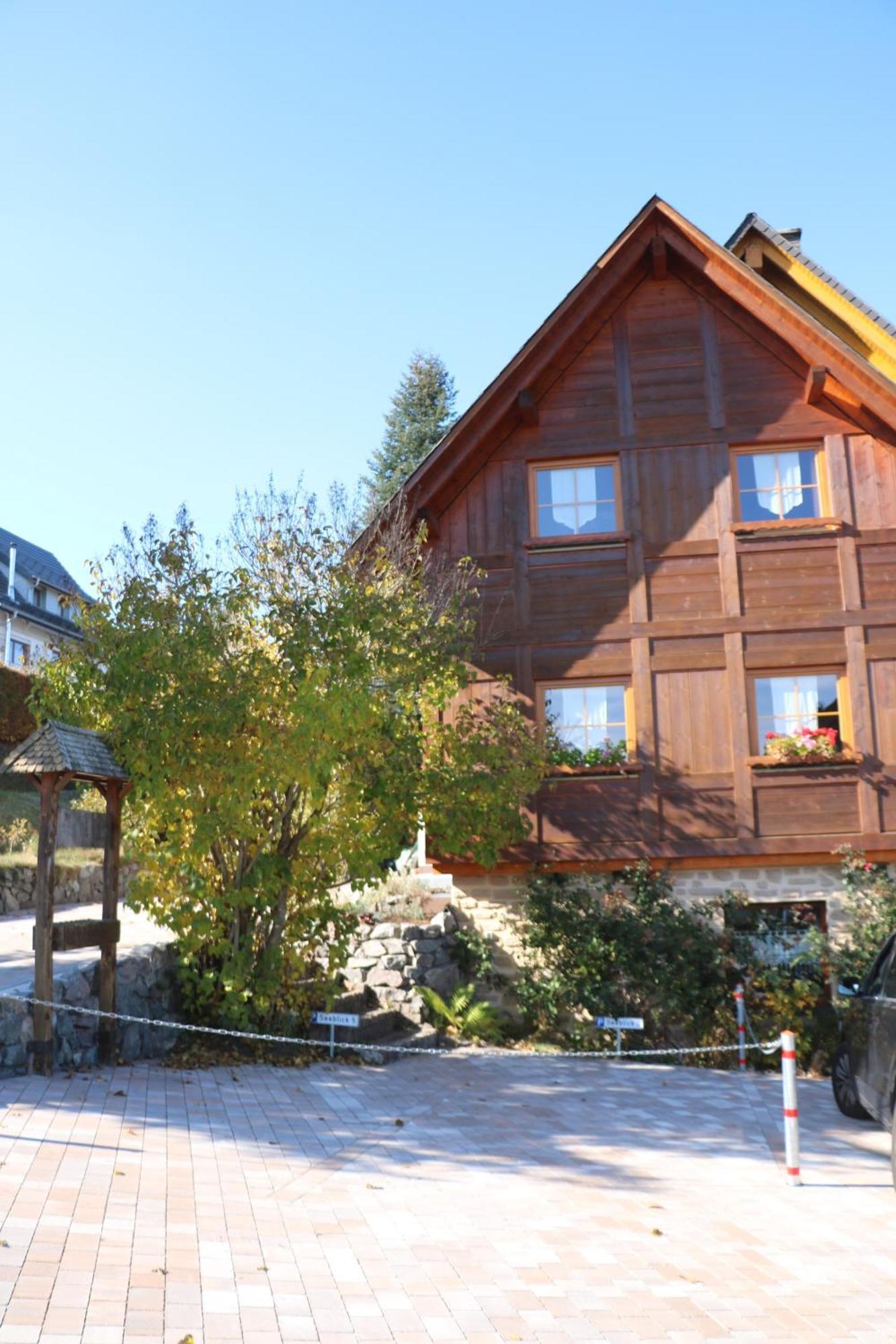 Ferienwohnung Seeblick Nr 5, 2 Zi-Baerental, Feldberg Rotwasser Exterior foto
